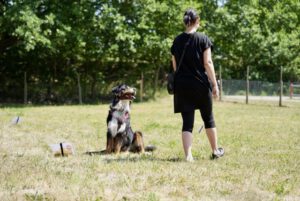 Hundetraining Janine Fillers, Hundeschule Berlin und Teltow.
