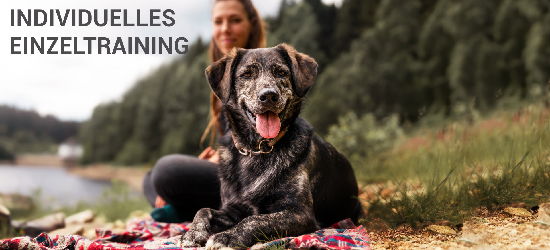 Einzeltraining Hundetraining Janine Fillers