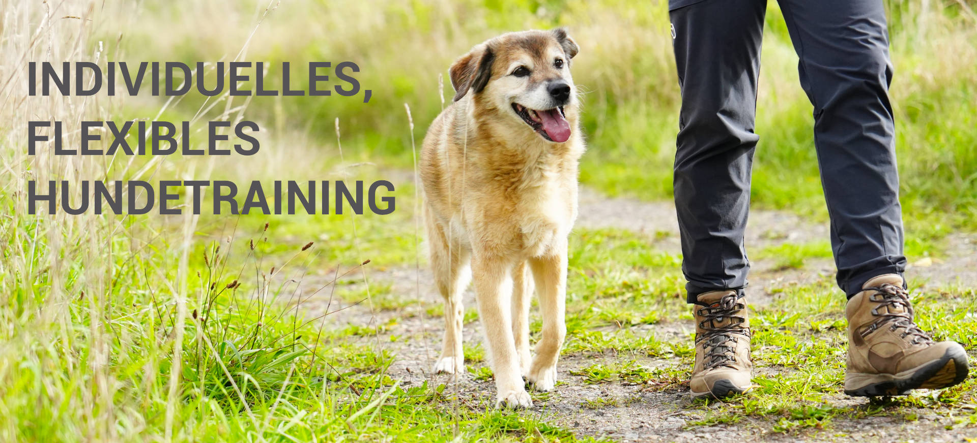 Hundetraining Janine Fillers - individuelles flexibles Hundetraining
