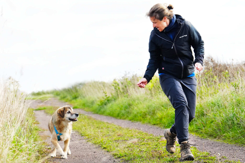 Hundetraining Janine Fillers