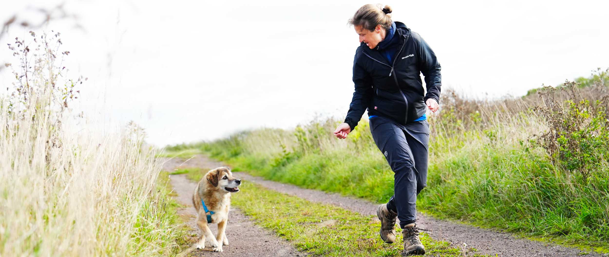 Hundetraining Janine Fillers