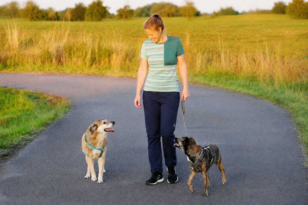 Über Mich Hundetraining